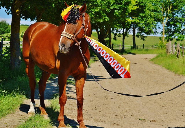 北方多地元 北方多地元