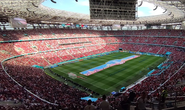 世界杯上的 世界杯上的