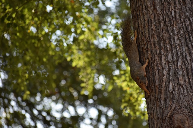 吉安接到队 吉安接到队